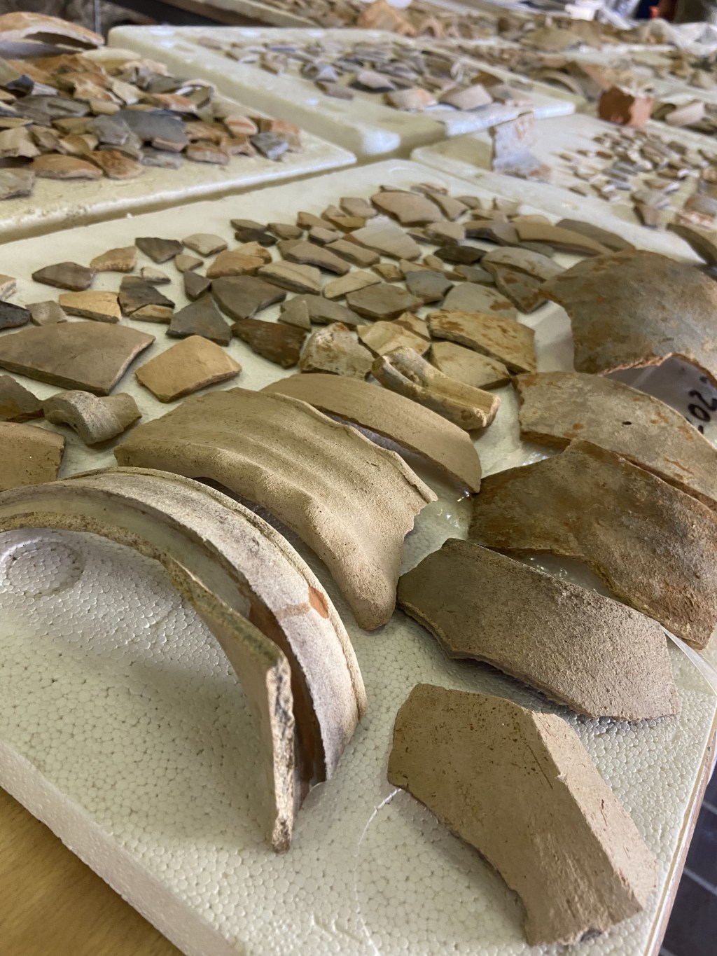 Archéologie et bénévolat, une histoire qui&nbsp;dure